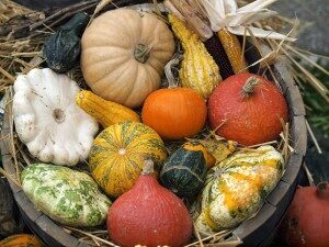 30 сентября Фестиваль Тыквы в Австрии «