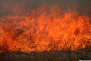 d0bfd0bed0b6d0b0d180-300x200-9737551