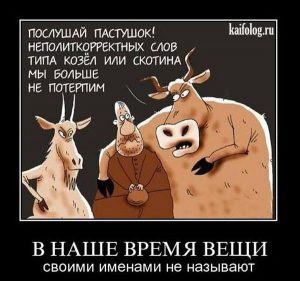 d181d0bad0bed182d0b8d0bdd0b0-300x281-6449400