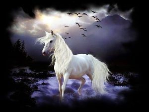 d095d0b2d0bfd0b0d182d0b8d0b9-d09ad0bed0bbd0bed0b2d180d0b0d182-300x225-6319212